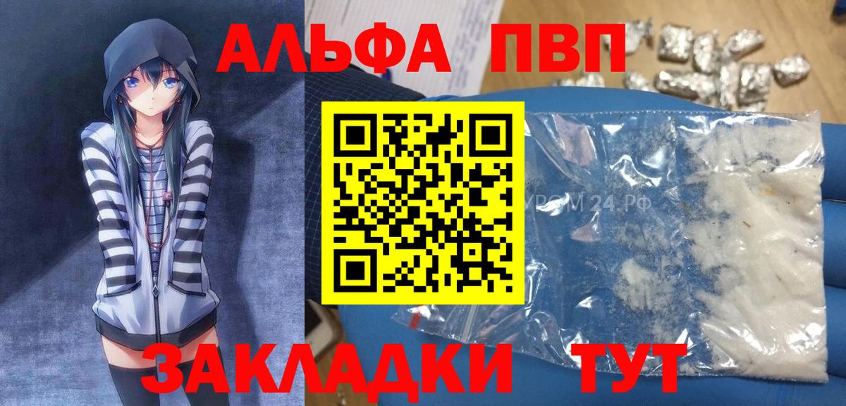 Альфа ПВП СК КРИС Кисловодск