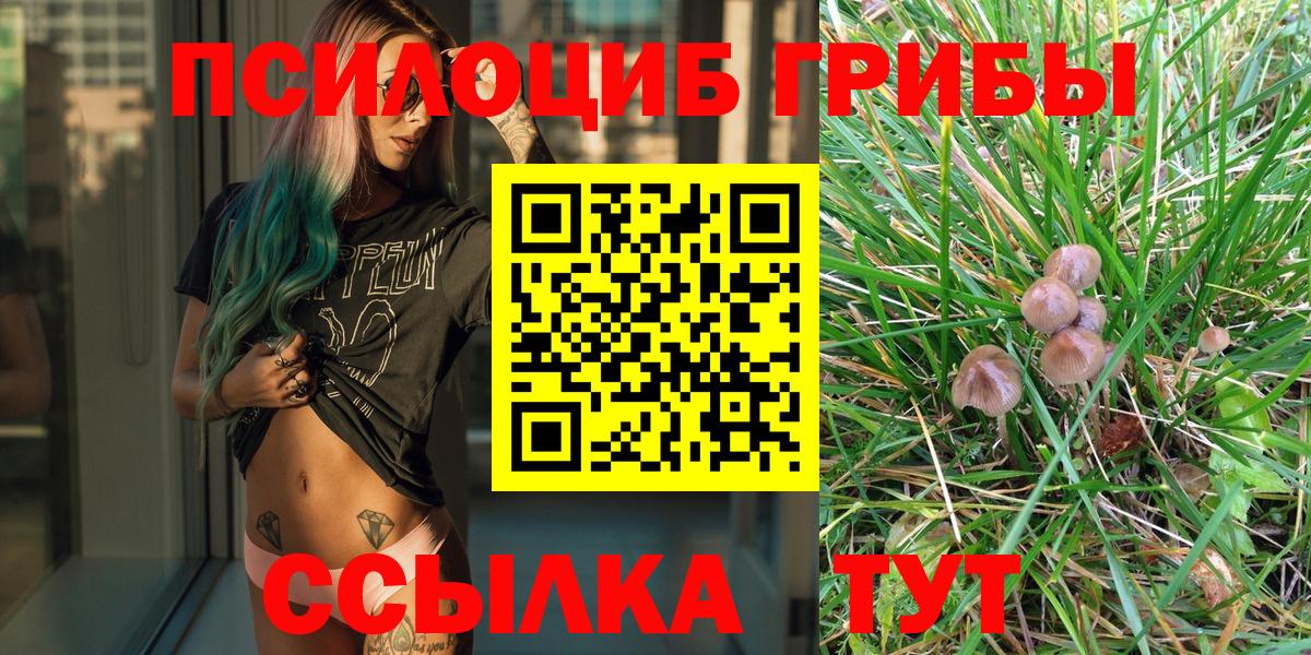 Галлюциногенные грибы мухоморы Кисловодск